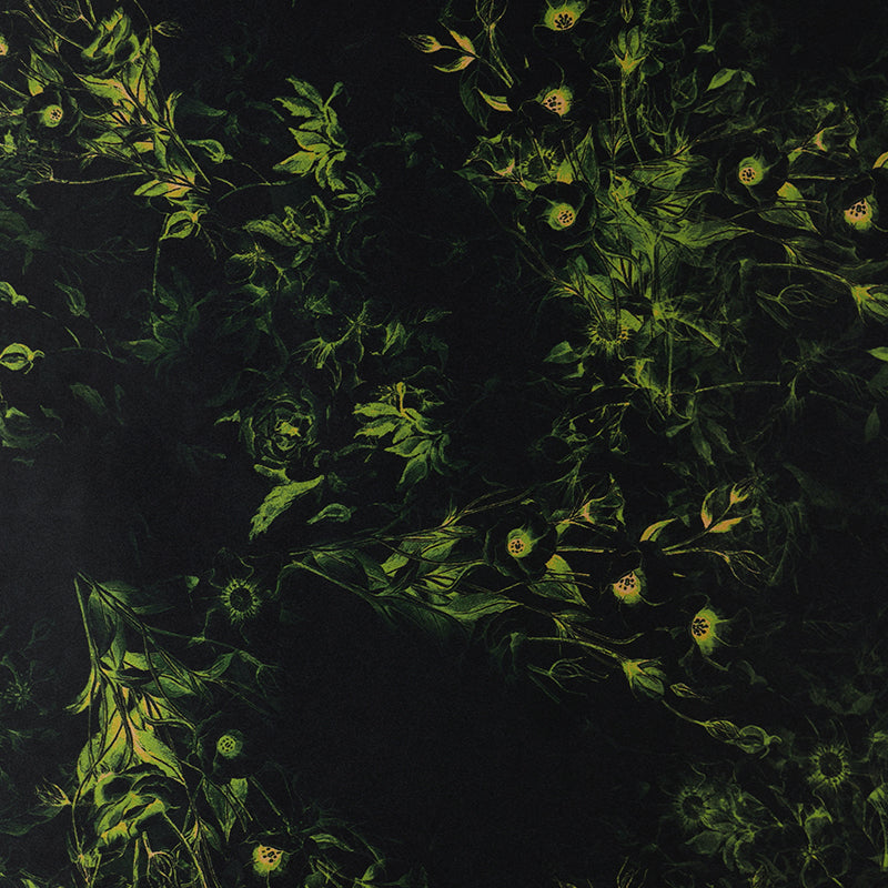 Black Based with Intertwined Green Plants Pizi Xiangyunsha