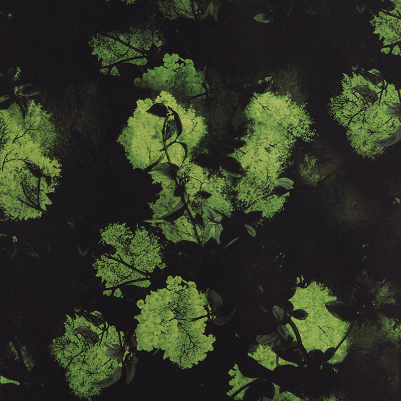 Ink-dyed Verdure Pizi Xiangyunsha